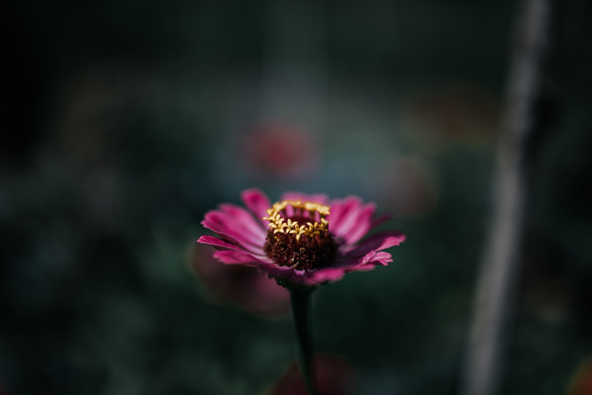 Gallery cover image